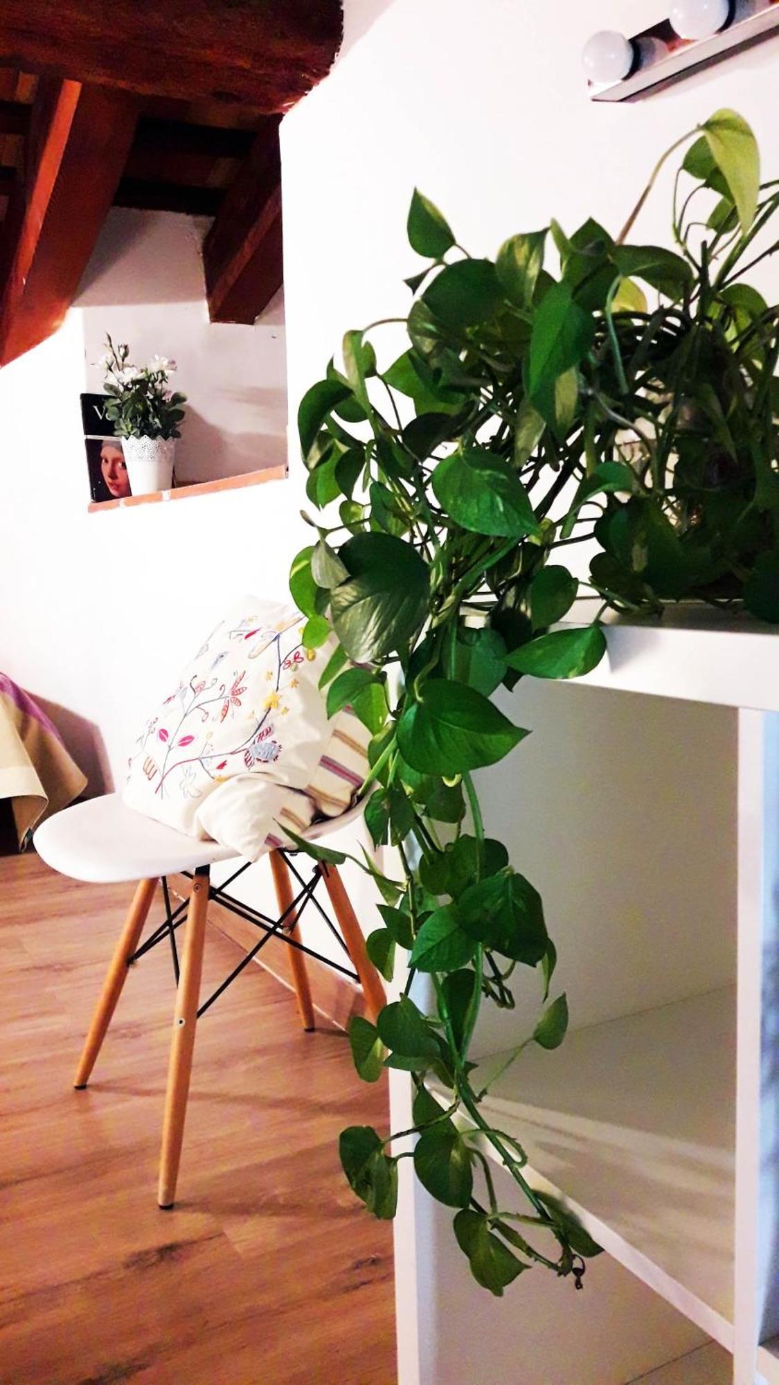 Bolseria Centricos Apartamentos En El Carmen Walencja Zewnętrze zdjęcie